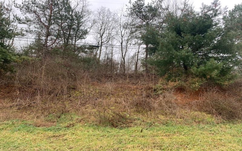 Lot 8 Ringertown Road, Export, 15632, ,Farm-acreage-lot,For Sale,Ringertown Road,1683394