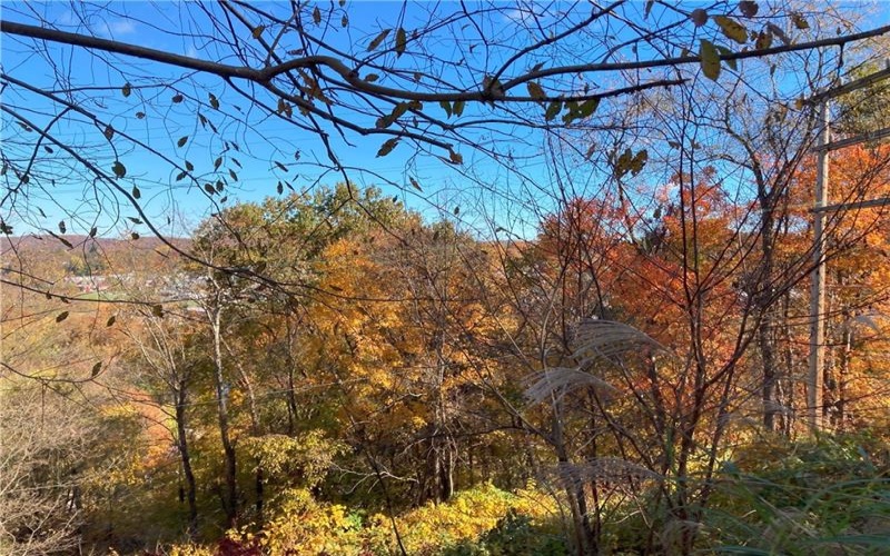 0 Orr Ave, Apollo, 15613, ,Farm-acreage-lot,For Sale,Orr Ave,1684157