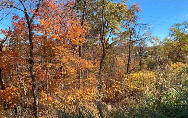 0 Orr Ave, Apollo, 15613, ,Farm-acreage-lot,For Sale,Orr Ave,1684157