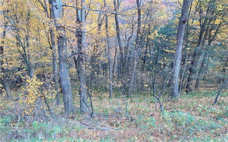 0 Rt 30, Laurel Mountain, 15655, ,Farm-acreage-lot,For Sale,Rt 30,1684187