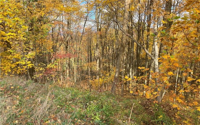 0 Rt 30, Laurel Mountain, 15655, ,Farm-acreage-lot,For Sale,Rt 30,1684187