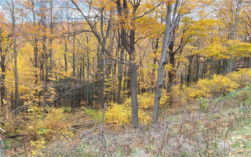 0 Rt 30, Laurel Mountain, 15655, ,Farm-acreage-lot,For Sale,Rt 30,1684187