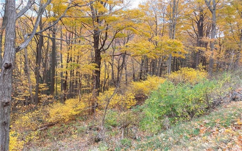 0 Rt 30, Laurel Mountain, 15655, ,Farm-acreage-lot,For Sale,Rt 30,1684187