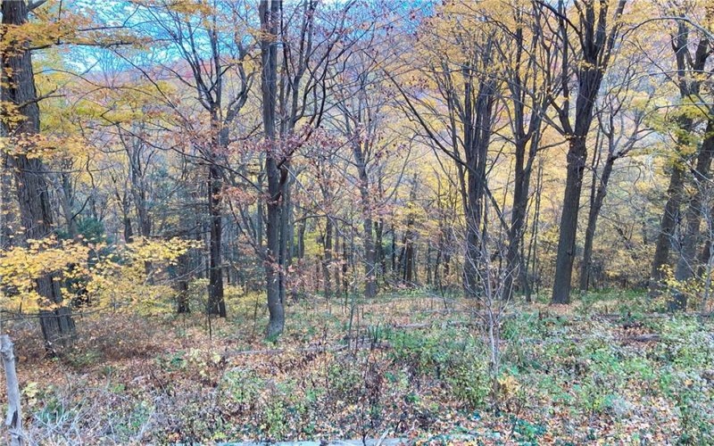 0 Rt 30, Laurel Mountain, 15655, ,Farm-acreage-lot,For Sale,Rt 30,1684187