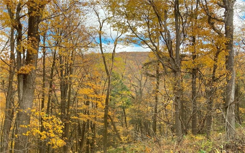 0 Rt 30, Laurel Mountain, 15655, ,Farm-acreage-lot,For Sale,Rt 30,1684187