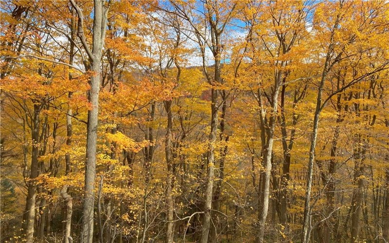 0 Rt 30, Laurel Mountain, 15655, ,Farm-acreage-lot,For Sale,Rt 30,1684187