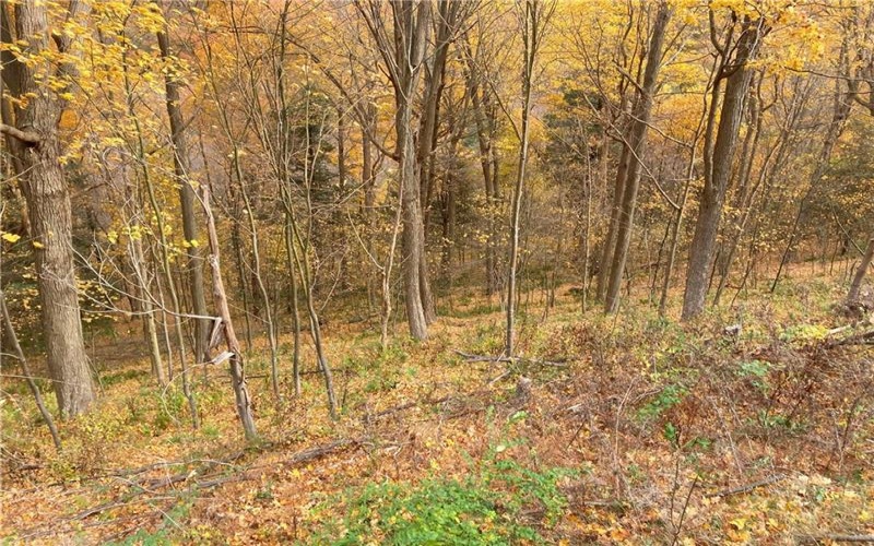 0 Rt 30, Laurel Mountain, 15655, ,Farm-acreage-lot,For Sale,Rt 30,1684187