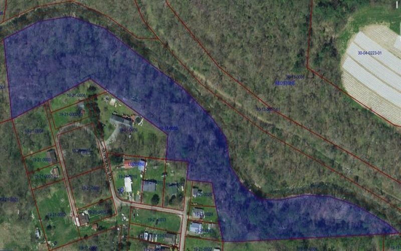 Off Superior St, Brownsville, 15417, ,Farm-acreage-lot,For Sale,Superior St,1684782