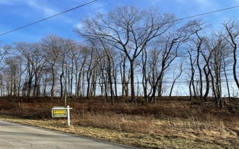 206 & 208 Old Woods Drive, Canonsburg, 15317, ,Farm-acreage-lot,For Sale,Old Woods Drive,1685116