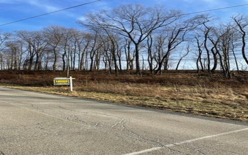 206 & 208 Old Woods Drive, Canonsburg, 15317, ,Farm-acreage-lot,For Sale,Old Woods Drive,1685116