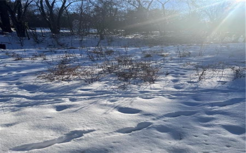 3168 Main Street, Claridge, 15623, ,Farm-acreage-lot,For Sale,Main Street,1685511