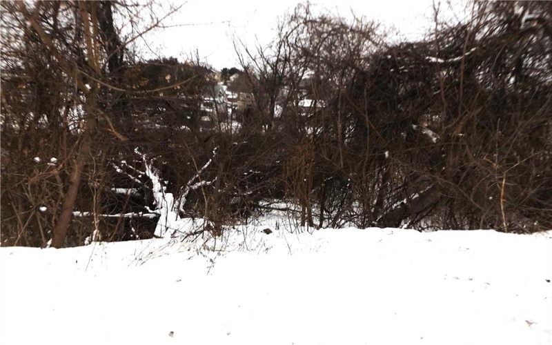 0 Coal Lick Hollow Rd, Uniontown, 15401, ,Farm-acreage-lot,For Sale,Coal Lick Hollow Rd,1686380