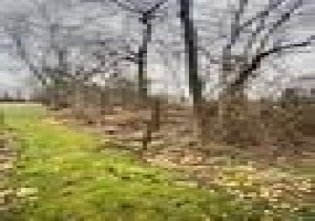 Lot #42 Fern St, 15611, 15611, ,Farm-acreage-lot,For Sale,Fern St,1686682
