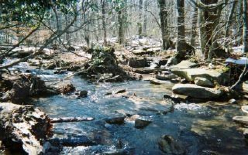 4406 National Pike, Markleysburg, 15459, ,Farm-acreage-lot,For Sale,National Pike,1686705