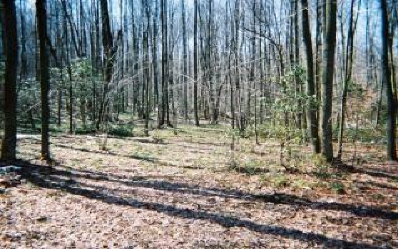 4406 National Pike, Markleysburg, 15459, ,Farm-acreage-lot,For Sale,National Pike,1686705