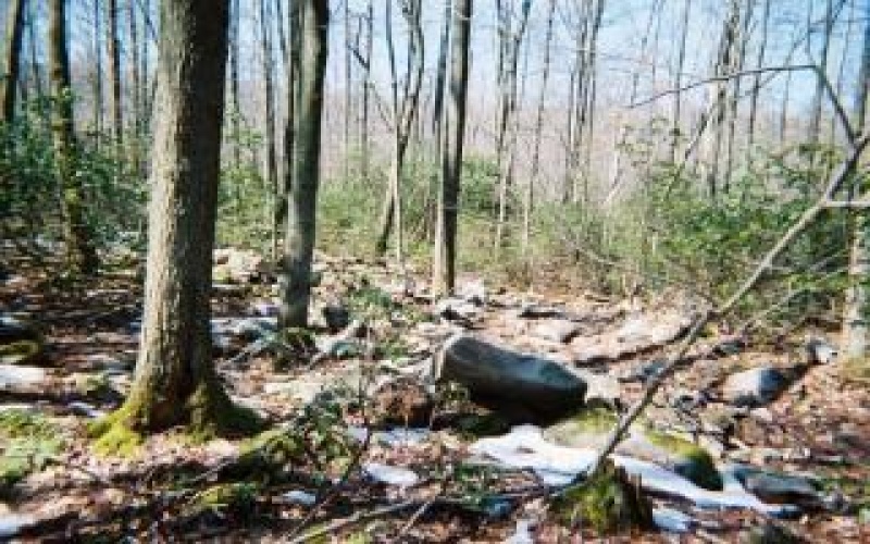 4406 National Pike, Markleysburg, 15459, ,Farm-acreage-lot,For Sale,National Pike,1686705