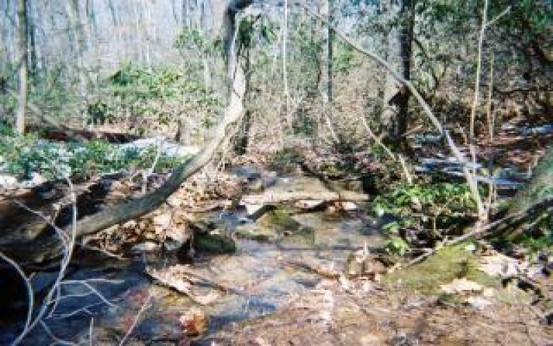 4406 National Pike, Markleysburg, 15459, ,Farm-acreage-lot,For Sale,National Pike,1686705