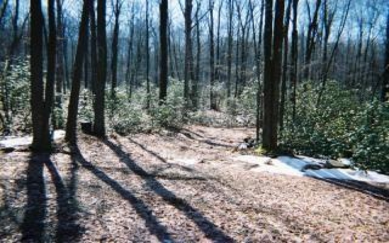 4406 National Pike, Markleysburg, 15459, ,Farm-acreage-lot,For Sale,National Pike,1686705