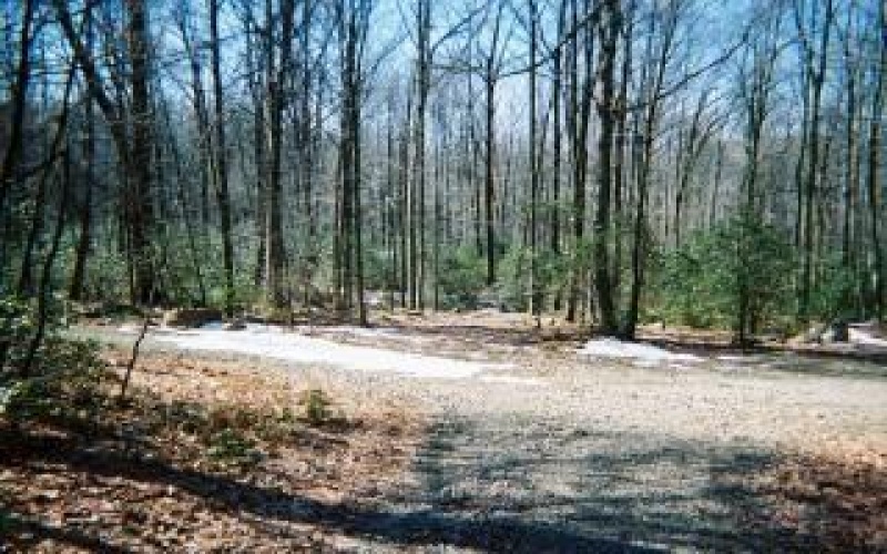 4406 National Pike, Markleysburg, 15459, ,Farm-acreage-lot,For Sale,National Pike,1686705