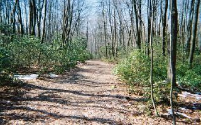 4406 National Pike, Markleysburg, 15459, ,Farm-acreage-lot,For Sale,National Pike,1686705