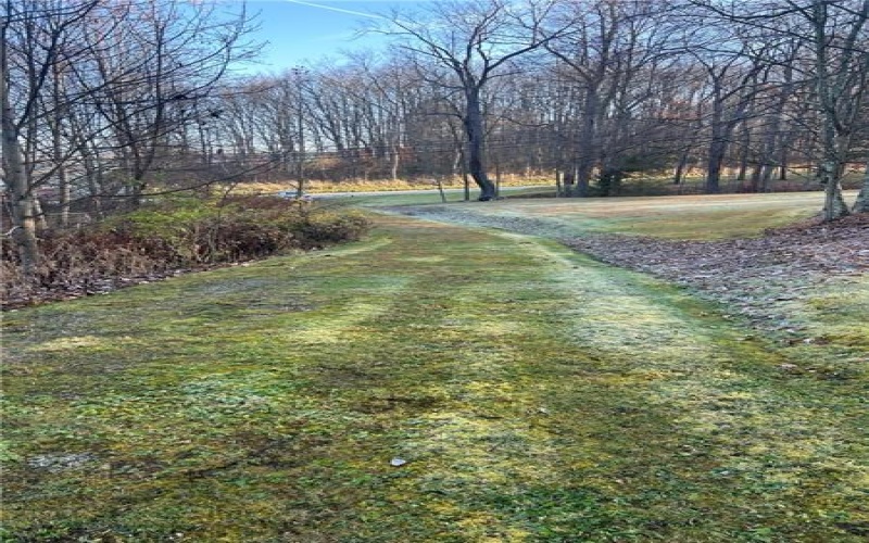 4406 National Pike, Markleysburg, 15459, ,Farm-acreage-lot,For Sale,National Pike,1686705