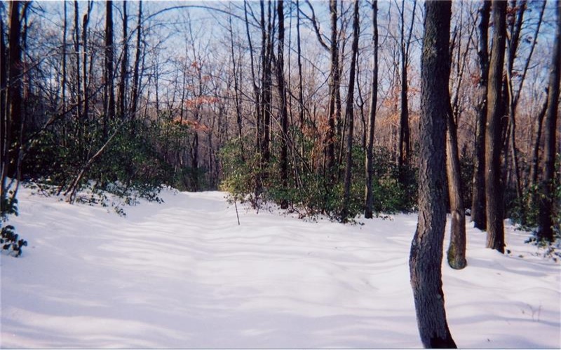 4406 National Pike, Markleysburg, 15459, ,Farm-acreage-lot,For Sale,National Pike,1686705