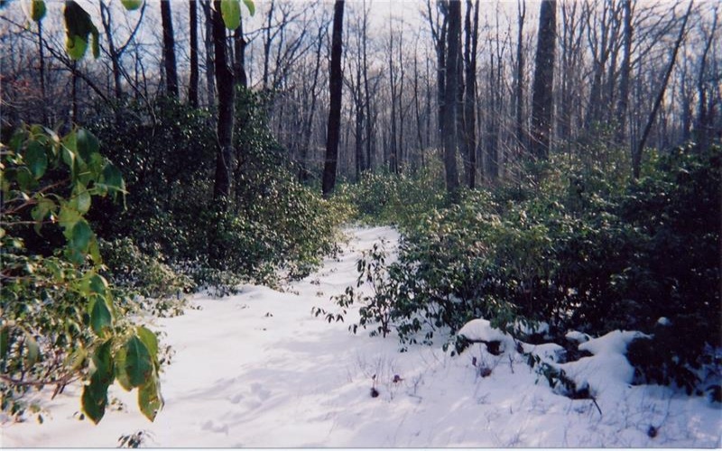 4406 National Pike, Markleysburg, 15459, ,Farm-acreage-lot,For Sale,National Pike,1686705