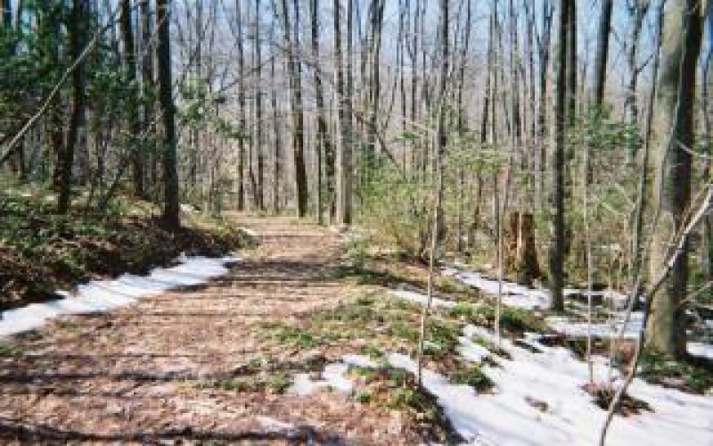 4406 National Pike, Markleysburg, 15459, ,Farm-acreage-lot,For Sale,National Pike,1686705