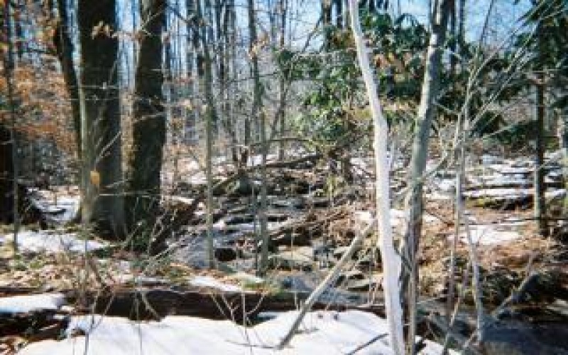 4406 National Pike, Markleysburg, 15459, ,Farm-acreage-lot,For Sale,National Pike,1686705