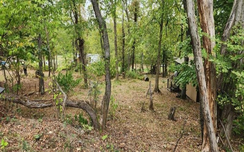 118 TOMCAT HOLLOW ROAD, Smithfield, 15478, 3 Bedrooms Bedrooms, ,1 BathroomBathrooms,Residential,For Sale,TOMCAT HOLLOW ROAD,1686707