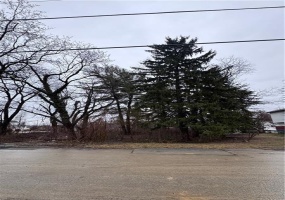 216 Austin Ave, Connellsville, 15425, ,Farm-acreage-lot,For Sale,Austin Ave,1686867