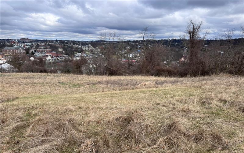 0 Elm Street, Washington, 15301, ,Farm-acreage-lot,For Sale,N/A,Elm Street,1687147