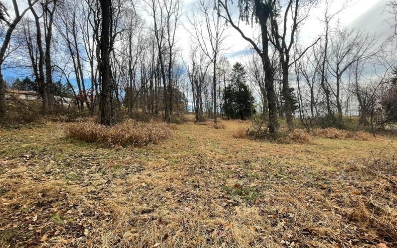 000 Hilton/Margurite Rd, Greensburg, 15601, ,Farm-acreage-lot,For Sale,Hilton/Margurite Rd,1687483