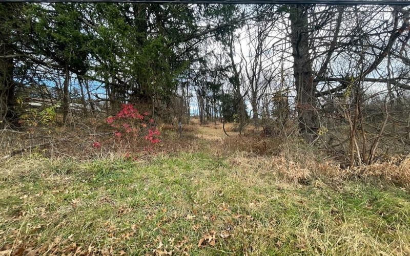 000 Hilton/Margurite Rd, Greensburg, 15601, ,Farm-acreage-lot,For Sale,Hilton/Margurite Rd,1687483