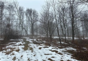 442 Bruceton Road, Markleysburg, 15459, ,Farm-acreage-lot,For Sale,Bruceton Road,1687768