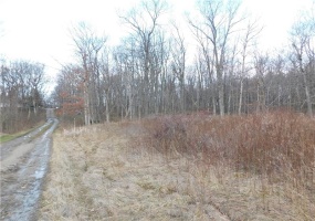 0 Hope Rd off Hopwood Fairchance Road, Uniontown, 15401, ,Farm-acreage-lot,For Sale,Hope Rd off Hopwood Fairchance Road,1687627