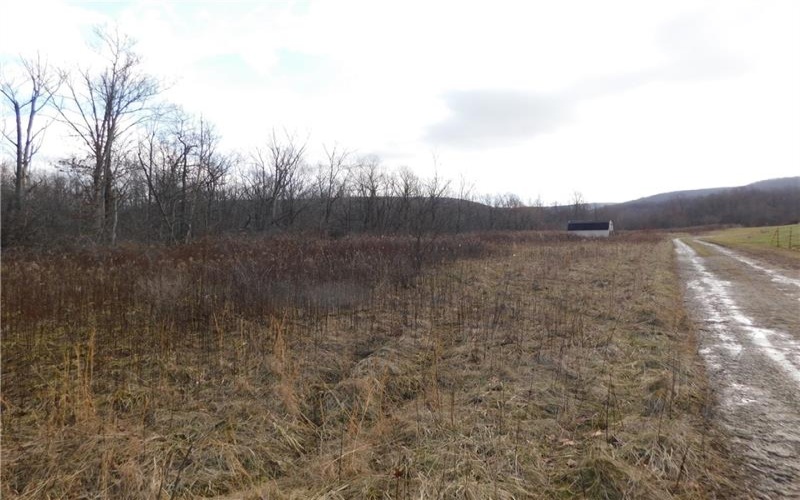 0 Hope Rd off Hopwood Fairchance Road, Uniontown, 15401, ,Farm-acreage-lot,For Sale,Hope Rd off Hopwood Fairchance Road,1687627