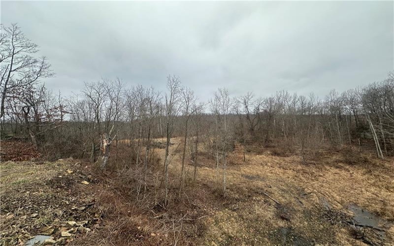 390 Snuff Ridge Road, New Salem, 15468, 2 Bedrooms Bedrooms, ,1 BathroomBathrooms,Farm-acreage-lot,For Sale,Snuff Ridge Road,1687816