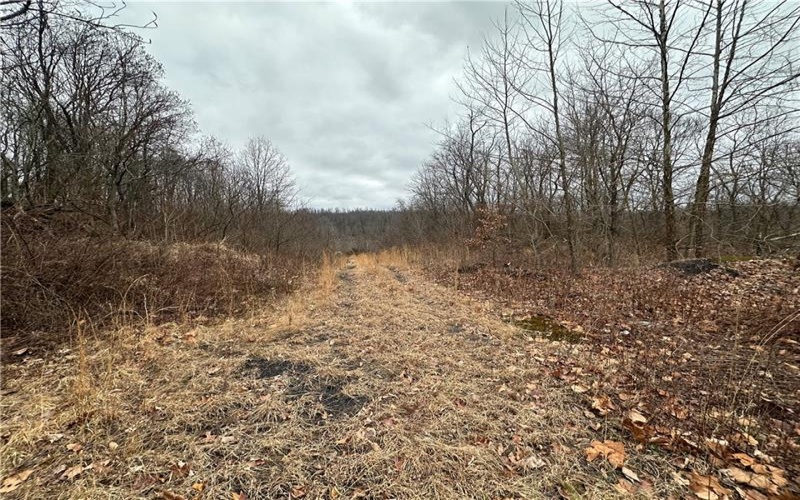 390 Snuff Ridge Road, New Salem, 15468, 2 Bedrooms Bedrooms, ,1 BathroomBathrooms,Farm-acreage-lot,For Sale,Snuff Ridge Road,1687816