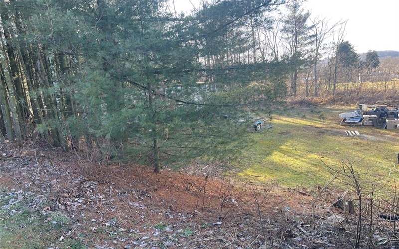 184 Pine Run Church Rd., Apollo, 15613, ,0.1 BathroomBathrooms,Residential,For Sale,Pine Run Church Rd.,1688511
