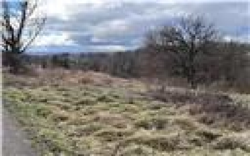 0 Williams Street, Washington, 15301, ,Farm-acreage-lot,For Sale,Williams Street,1688537
