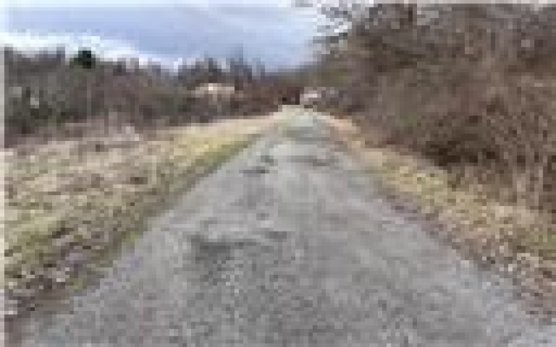 0 Williams Street, Washington, 15301, ,Farm-acreage-lot,For Sale,Williams Street,1688537