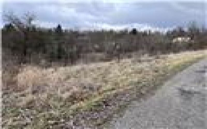 0 Williams Street, Washington, 15301, ,Farm-acreage-lot,For Sale,Williams Street,1688537