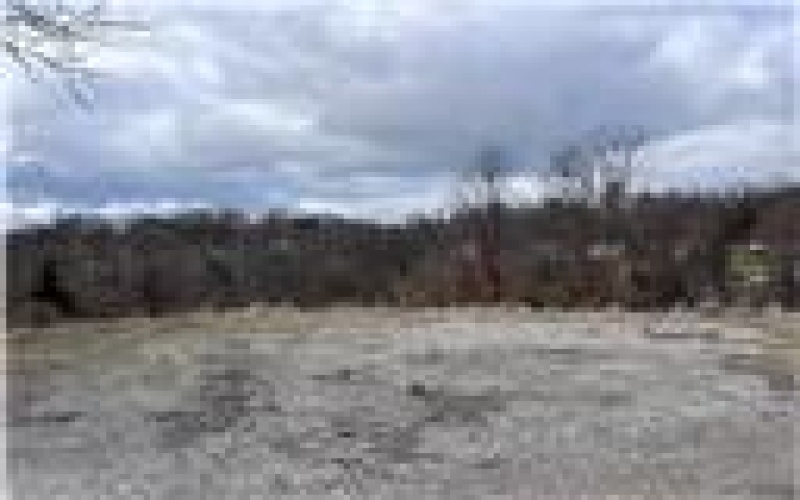0 Williams Street, Washington, 15301, ,Farm-acreage-lot,For Sale,Williams Street,1688537
