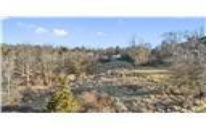 0 Williams Street, Washington, 15301, ,Farm-acreage-lot,For Sale,Williams Street,1688537