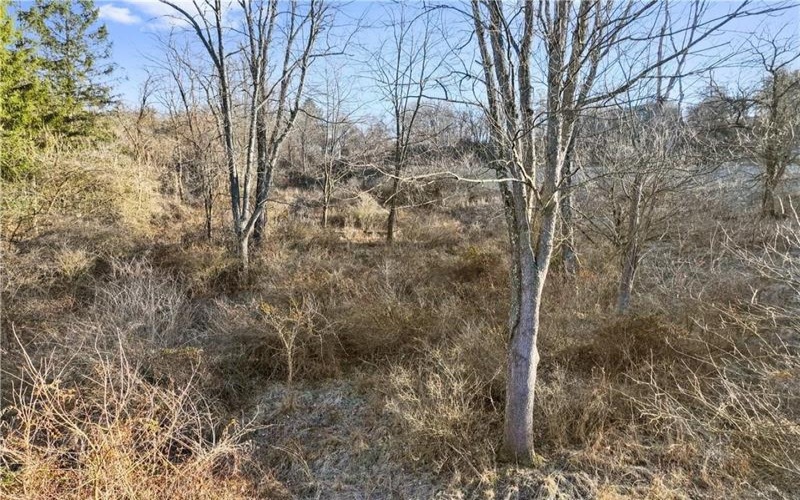 0 Williams Street, Washington, 15301, ,Farm-acreage-lot,For Sale,Williams Street,1688537