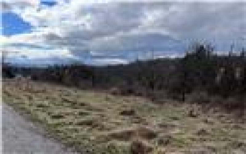 0 Williams Street, Washington, 15301, ,Farm-acreage-lot,For Sale,Williams Street,1688537