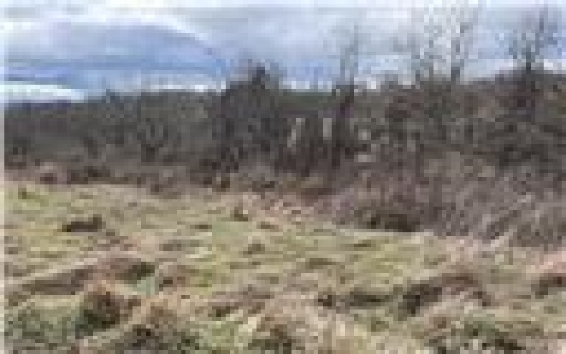 0 Williams Street, Washington, 15301, ,Farm-acreage-lot,For Sale,Williams Street,1688537