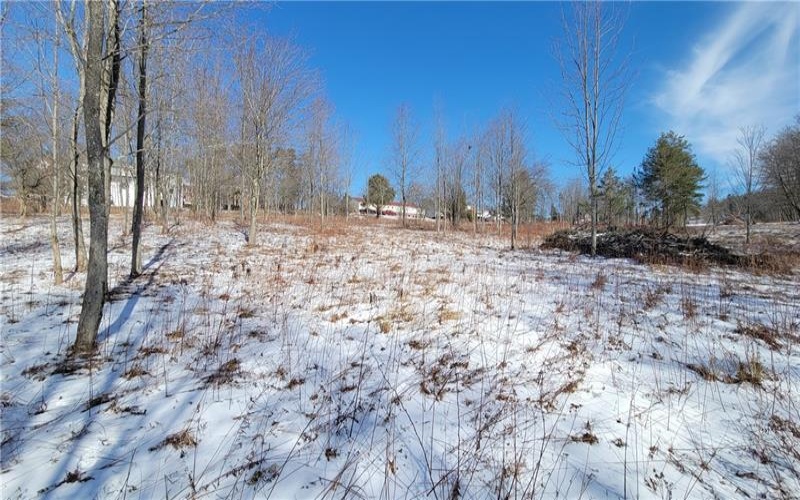 0 Main Street, Somerset, 15501, ,Farm-acreage-lot,For Sale,Main Street,1688564