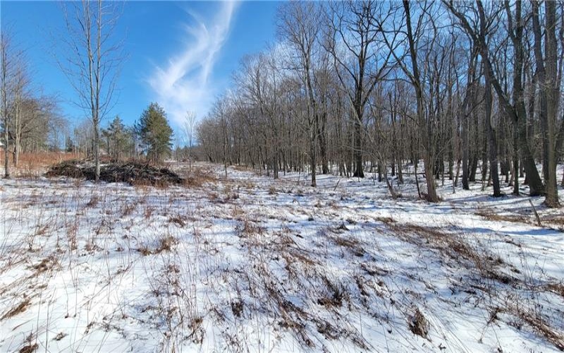 0 Main Street, Somerset, 15501, ,Farm-acreage-lot,For Sale,Main Street,1688564